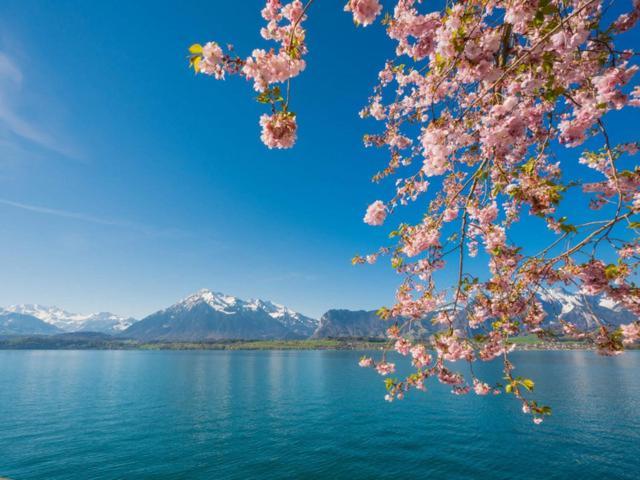 Schoene Ferienwohnung Mit Seeblick Thun Zewnętrze zdjęcie